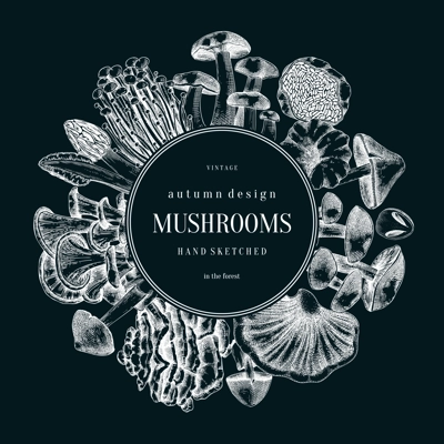 Forest mushrooms wreath on chalkboard. Edible mushrooms frame, vintage card design. Fungi, healthy food, vegan product sketches. Autumn hand-drawn vector illustration. Engraved design template